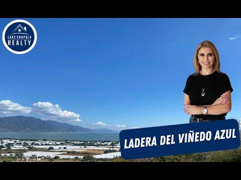 Previsualización del video
