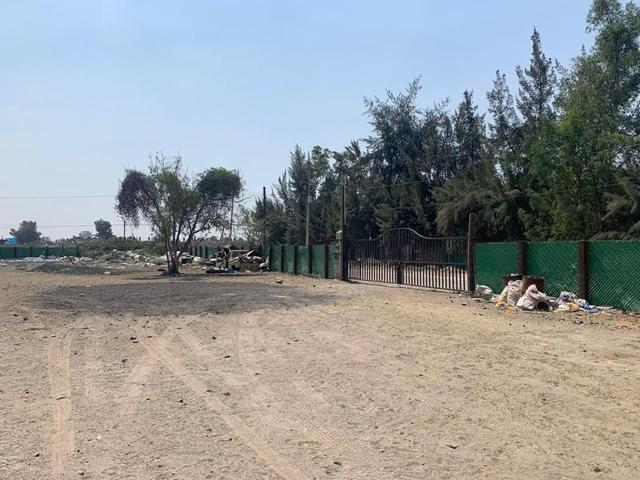 Foto de la galeria de imagenes