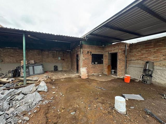Foto de la galeria de imagenes