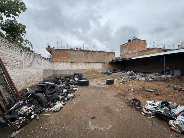 Foto de la galeria de imagenes